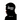 The Hidden Agent