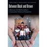 Between Black and Brown: Blaxicans and Multiraciality in Comparative Historical Perspective