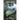 Nomad Moon