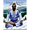 Brazilian Jiu Jitsu Curriculum