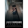 Underground Prescott: A Historical Review of the Stories about Catacombs, Tunnels, Speakeasys, Opium Dens and Bordellos in Early Prescott, a