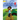 My Flying Kite - Au utuao ae e kibarake (Te Kiribati)