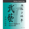 Shaolin #5 Martial Skill