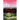 What Lies Beyond, Within
