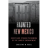 Haunted New Mexico: Ghosts and Strange Phenomena of the Land of Enchantment