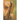 Dachshund Notes