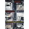 The Technology of Policing: Crime Mapping, Information Technology, and the Rationality of Crime Control