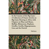 In the Country of the Big Game - A Collection of Classic Articles on Big Game Hunting in Africa with Chapters on Ways and Means, Buffalo, Rhinoceros,