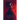 Not Everything Dies