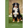 bernese moutain dog