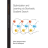 Optimization and Learning Via Stochastic Gradient Search