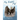 Fly, Eaglet, Fly!