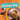Your Guinea Pig