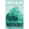 Indefensible: Book 2 of the Kate Lange Thriller Series