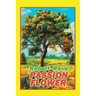 Passion Flower