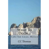 What To Do In...: Cabo San Lucas, Baja California Sur, Mexico