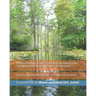 Idaho Drinking Water Operator License Exam - Treatment Review Questions & Answers: covering fundamental knowledge compatible with all classes