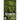 Vivaldi