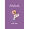 Little Bobtail; or, The Wreck of the Penobscot
