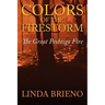 Colors of the Firestorm: The Great Peshtigo Fire