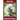 Bichon Frise Training Book for Bichon Frise Dogs & Puppies By BoneUP DOG Trainin: Are You Ready to Bone Up? Easy Training * Fast Results Bichon Frise