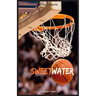 Sweetwater: A Biography of Nathaniel "Sweetwater" Clifton