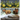 The First Salmon Run: The Bear Cubs' Adventure