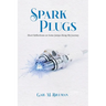 Spark Plugs: Short Reflections on Some Jumps Along My Journey