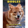 Dholes: The Asiatic Wild Dog