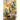 The Bone of Elisha