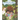 JH & KH's Magical Picture Word Book 1