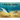 A Manta Ray's Journey