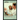 Nurse-Midwife