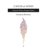 Catch the Wind