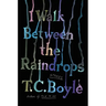 I Walk Between the Raindrops: Stories
