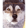 The Eyes of Gray Wolf