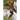 Identifying Chincoteague Ponies 2022