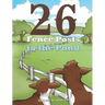 Twenty Six Fence Posts to the Pond