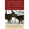 The Hidden Life of Deer: Lessons from the Natural World