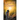Light Dreams
