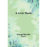 A Little World
