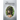 The Medusa Enigma