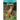 Dholes