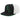 [VX22Z] UFC Flat Brim Snapback Hat - Black | Green | Cream by SNEAKAR