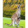 Marsupials: Amazing Pictures & Fun Facts of Animals in Nature