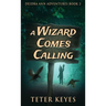 A Wizard Comes Calling