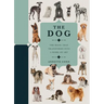 Paperscapes: The Dog: A Book That Transforms Into a Work of Art