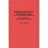 Building Self-Esteem in At-Risk Youth: Peer Group Programs and Individual Success Stories