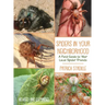 Spiders in Your Neighborhood: A Field Guide to Your Local Spider Friends, Revised and Expanded
