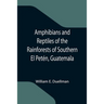 Amphibians and Reptiles of the Rainforests of Southern El Petén, Guatemala
